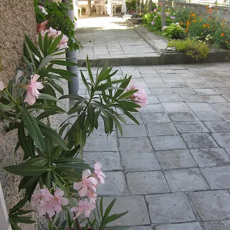 Guest house Rosi